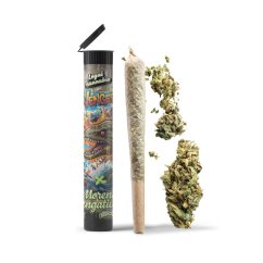 06 Preroll Legal Cannabis 420 - Vengeful Moray