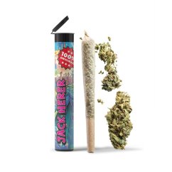 06 Preroll Premium Cannabis 420 - Jack Herer