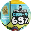 CBG 9