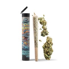 06 Preroll Legal Cannabis 420 - Killer Barracuda