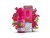 KURWA COLLECTION E-LIQUID FIZZY CHERRY