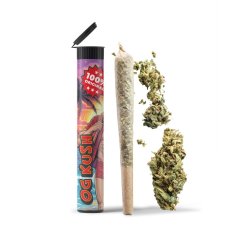 06 Preroll Premium Cannabis 420 - OG Kush