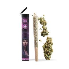 06 Preroll Legal Cannabis 420 - Luna Viola
