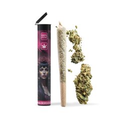 06 Preroll Legal Cannabis 420 - Luna Borgogna