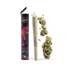 06 Preroll Legal Cannabis 420 - Sugary Flamingo