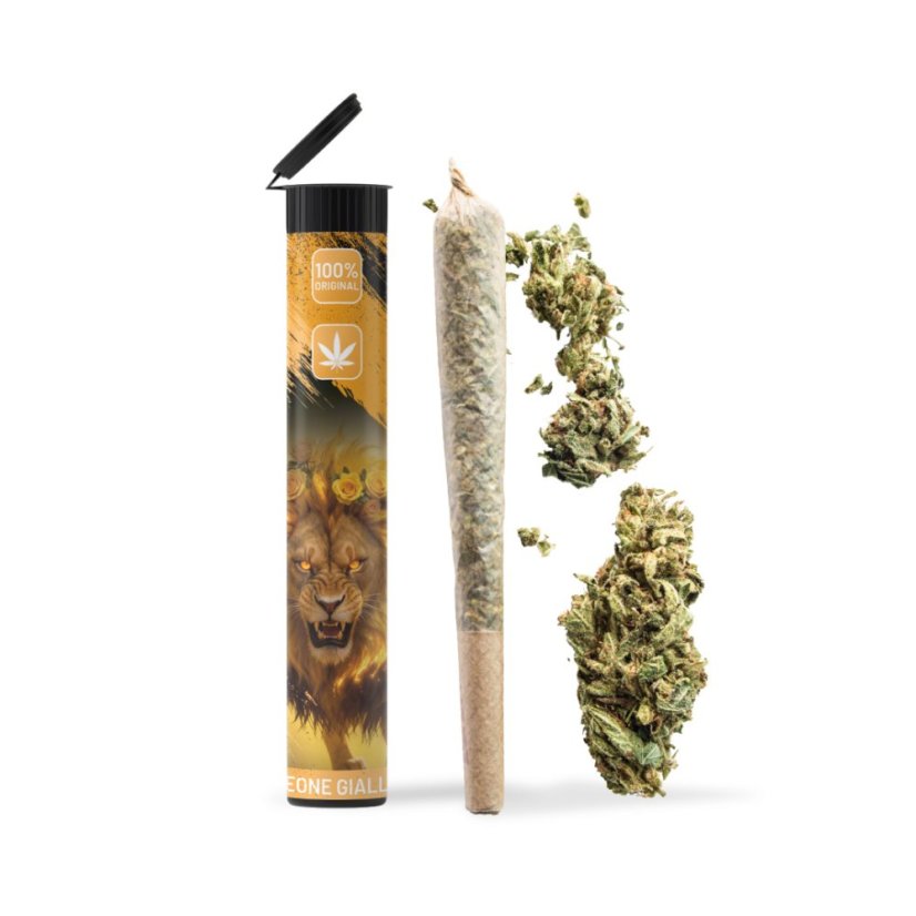 06 Preroll Legal Cannabis 420 - Leone Giallo