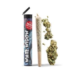 06 Preroll Premium Cannabis 420 - White Widow